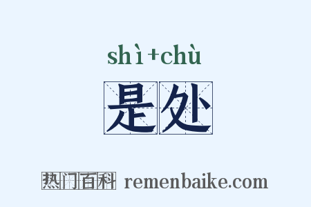 是处是什么意思的图片